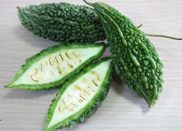 Khám phá công dụng chữa bệnh của cây mướp đắng rừng 