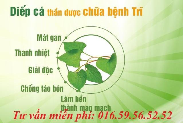 Bài thuốc dân gian chữa trĩ