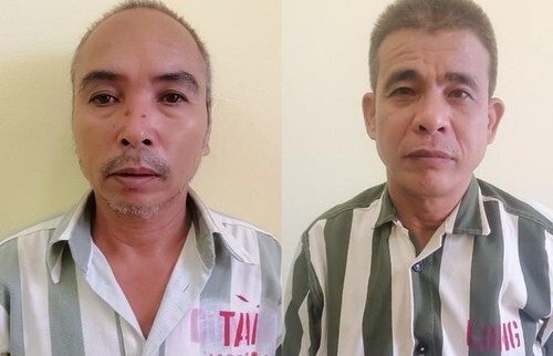 “Hô biến” mật lợn thành mật gấu, 