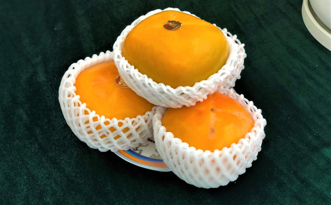 Bị 