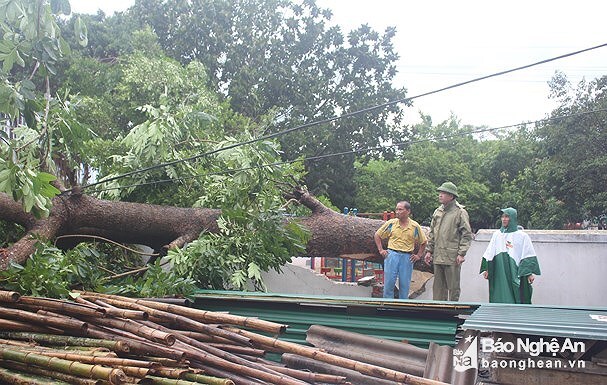 Thiệt hại do bão số 4 chưa xong, Việt Nam lại sắp phải đối phó bão số 5