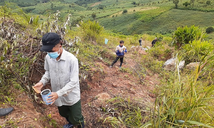 Gia Lai: Trẻ em cũng đổ xô đi bắt sâu độc giá 1,7 triệu đồng/kg