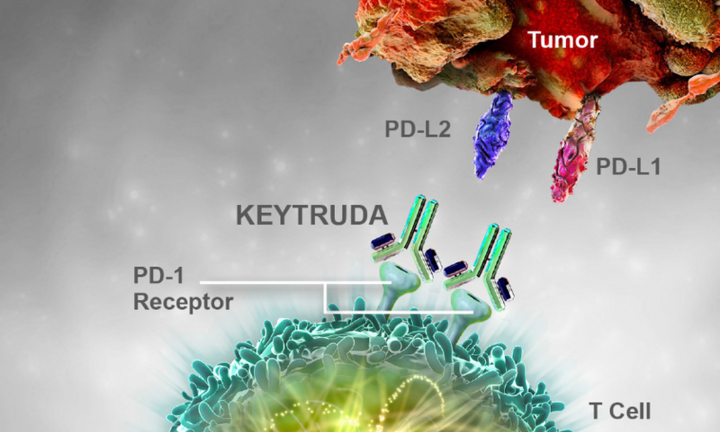 Lần đầu tiên tại Việt Nam điều trị thành công u lympho tế bào T/NK bằng thuốc miễn dịch 