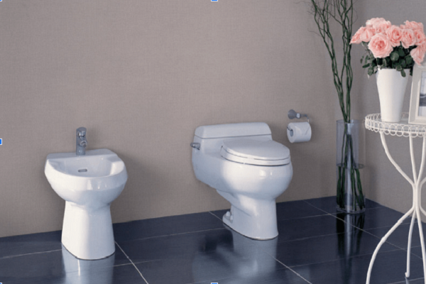 Tham khảo các mẫu bồn cầu giá rẻ dưới 1 triệu đồng