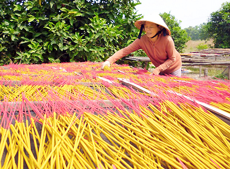 Bán nhang sang Ấn Độ, doanh nghiệp Việt thu gần 1.800 tỷ mỗi năm