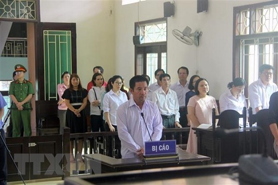 Bình Định: Cục Thi hành án phải bồi thường cho doanh nghiệp hơn 55 tỷ đồng