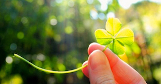 Giữa lưng chừng yêu thương…