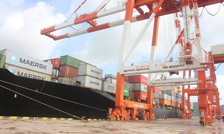 Bình Định: Khiển trách Phó Tổng Giám đốc cảng Quy Nhơn