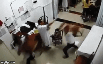 Video: Hãi hùng cảnh người nhà bệnh nhân và bác sĩ dùng ghế choảng nhau ngay tại bệnh viện