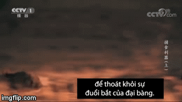 Video: Nhanh như chớp chuột thoát chết trong gang tấc