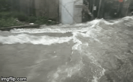 Mưa lớn, nước chảy cuồn cuộn như lũ quét ở Nghệ An khiến nhiều người khiếp sợ