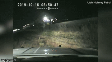 Nam cảnh sát Mỹ lao lên đường ray cứu tài xế thoát chết trong gang tấc