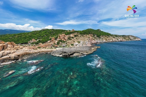 Một tương lai rộng mở cho Ninh Chữ