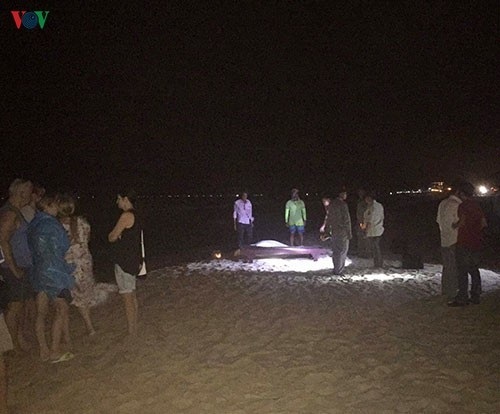 Bình Thuận: Điều tra nguyên nhân nữ du khách nước ngoài tử vong trên bãi biển Phan Thiết