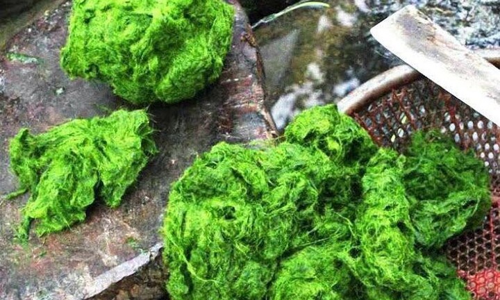 Tuần lễ độc thân không cô đơn với siêu ưu đãi 49%++ từ Adayroi