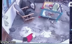 Video: Cậu bé suýt “chết hụt” vì rơi xuống cầu thang và pha giúp sức khó tin của mèo nhà