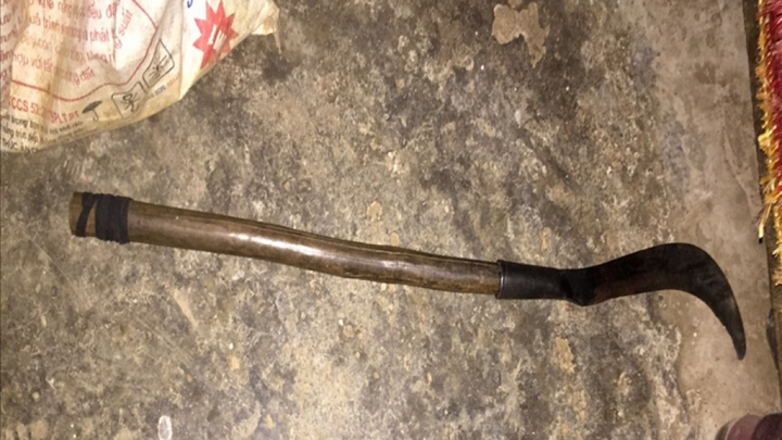 Bắt tạm giam nghịch tử 9X sát hại mẹ ruột vì bị la ăn nhậu