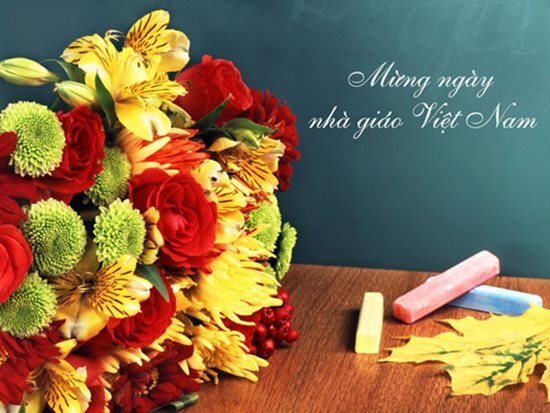 Cách chọn hoa ngày 20 tháng 11 ý nghĩa dành tặng thầy cô