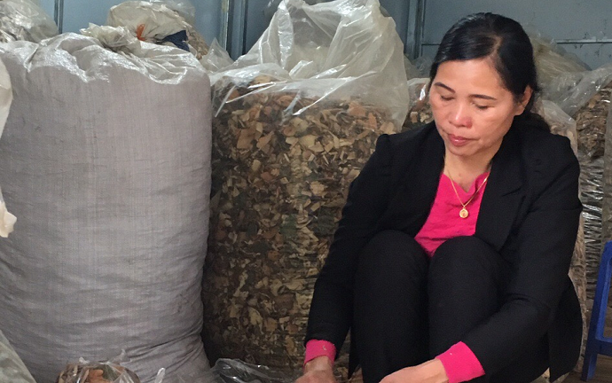 Thang thuốc quý gửi đi muôn phương chữa khỏi cho hàng ngàn người bị đau nhức xương khớp