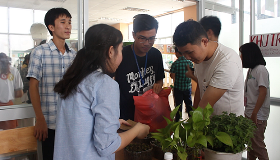 TP.HCM: Nhóm bạn trẻ gom chai nhựa, tặng ngàn cây xanh bảo vệ môi trường