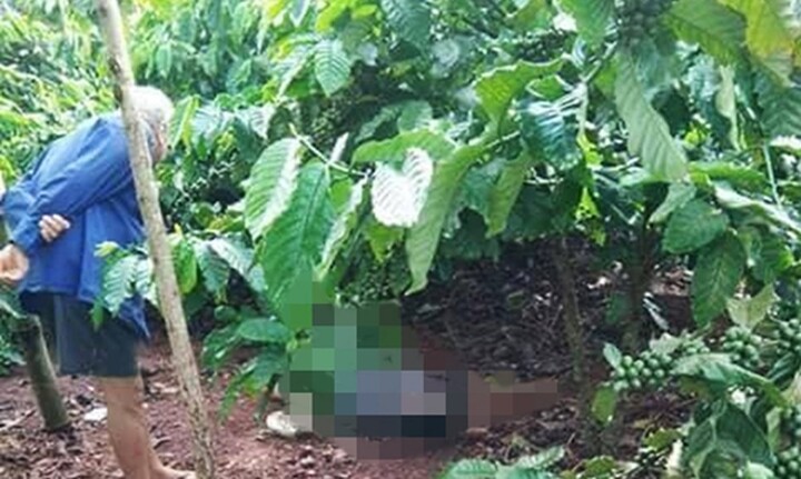 Phát hiện thi thể nữ giới khoảng 40 tuổi phân hủy còn bộ xương trong rẫy cà phê