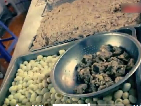 Rùng mình khi phát hiện nhân bánh bao làm từ bì lợn hôi thối