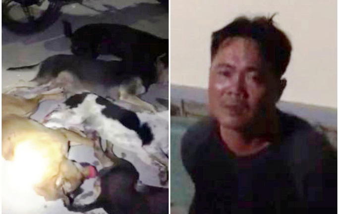 Bị CSGT truy đuổi, đôi cẩu tặc bỏ 6 con chó nhảy xuống ao