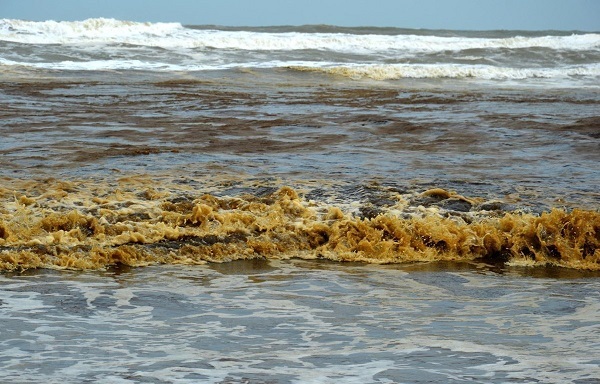 Nước biển tại Quảng Ngãi bất ngờ chuyển màu xám đen, nổi bọt