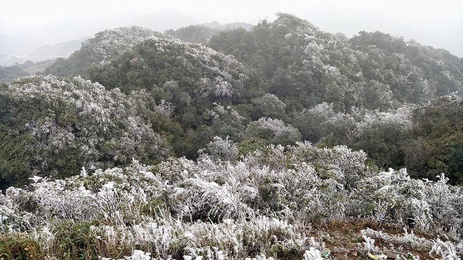 Tin tức dự báo thời tiết mới nhất hôm nay 8/12/2019: Miền Bắc trời rét, nhiều nơi xuất hiện băng giá