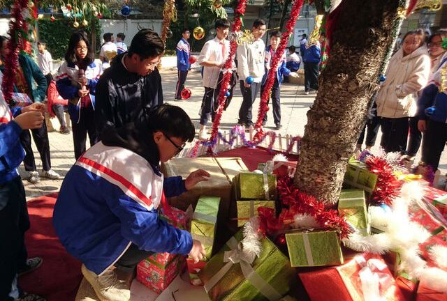 Cận cảnh 3 cây thông Noel