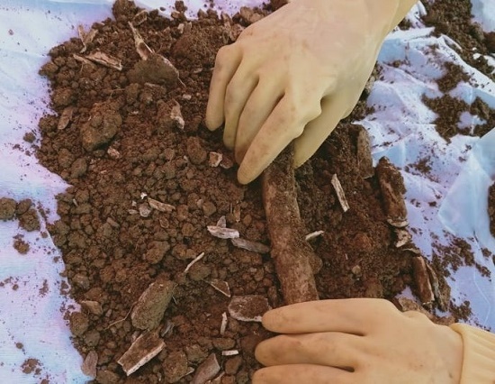 Đào đất làm đường, bất ngờ phát hiện 2 hài cốt liệt sĩ kèm nhiều di vật