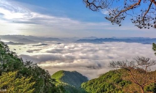 Cận cảnh rừng nguyên sinh hàng nghìn ha “tàng hình” trong biển mây