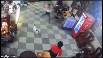 Video: Lạnh người khoảnh khắc nữ nhân viên massage đâm người đàn ông gục tại chỗ