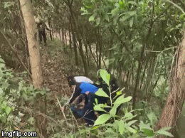 Video: Bắt giữ nghi phạm vụ thảm án Thái Nguyên khi đang lẩn trốn trên đồi