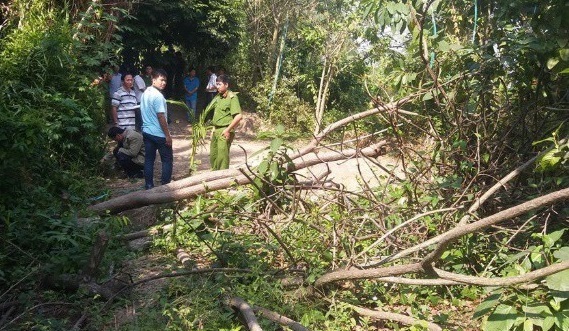 Tiền Giang: Điều tra vụ công an nổ súng tại tụ điểm đá gà, 3 người bị thương