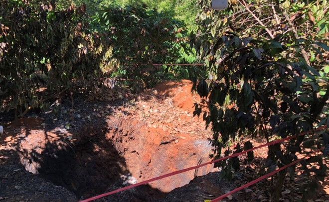 Điều tra vụ vợ phát hiện chồng chết cháy bí ẩn trong vườn tiêu ở Bình Phước