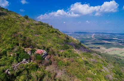 Vãn cảnh cầu an ở quần thể chùa nổi tiếng nhất Tây Ninh dịp Tết 2020 