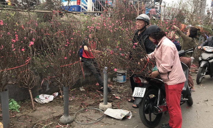 Chợ hoa Quảng An tấp nập những ngày cuối năm, đào, mai khoe sắc chào xuân mới