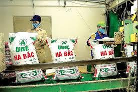 Lỗ “sấp mặt”, Đạm Hà Bắc cả năm không trả nổi một đồng lãi