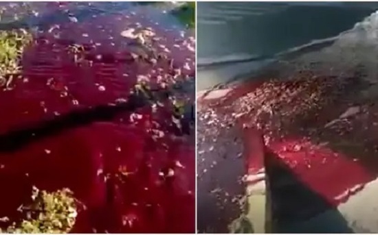 Hốt hoảng khi thấy cả vùng ngập trong chất lỏng đỏ như máu sau động đất