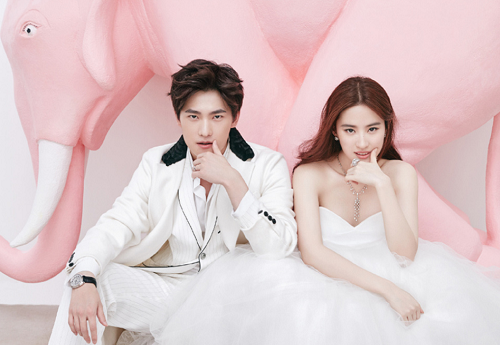 Lưu Diệc Phi và Dương Dương đã đăng ký kết hôn, sẽ tổ chức đám cưới vào tháng 3?