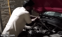 Video: Hoàng hồn phát hiện trăn 