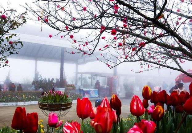 Đón xuân khác lạ giữa non ngàn Tây Bắc 