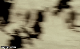 Video: Sư tử cái mai phục, tung hết tốc lực tóm gọn khỉ đầu chó tinh ranh