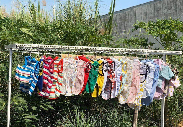 Chỉ vì phơi quần áo của thú cưng, cô sinh viên năm 2 bị đồn