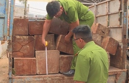 Gia Lai: Khởi tố đối tượng vận chuyển gỗ lậu, đánh trọng thương 2 cán bộ kiểm lâm