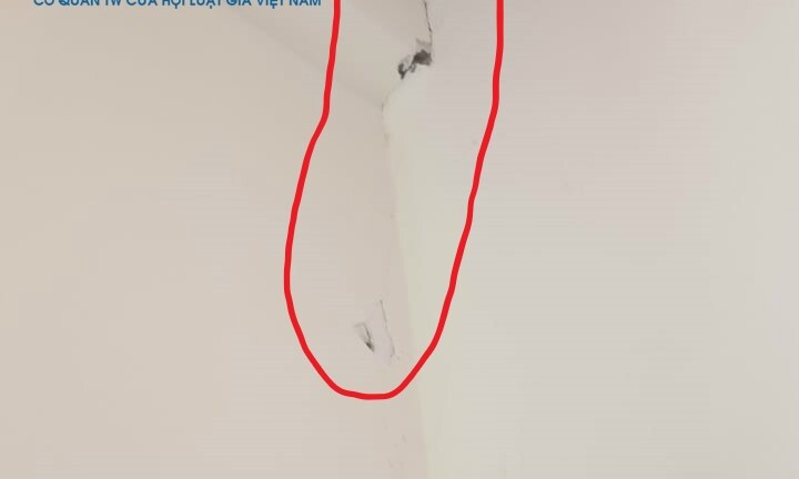 Vụ tòa nhà Golden Palm xuất hiện nhiều vết nứt: Bộ Xây dựng yêu cầu công ty DELTA làm rõ