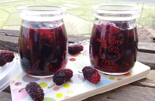 Dâu tằm vào mùa, làm ngay món này giải nhiệt mùa hè cực hiệu quả