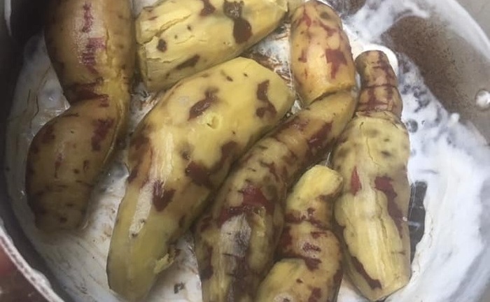 Cô gái 'đảm' khóc thét khi nhìn thấy thành quả nồi khoai lang hấp của mình