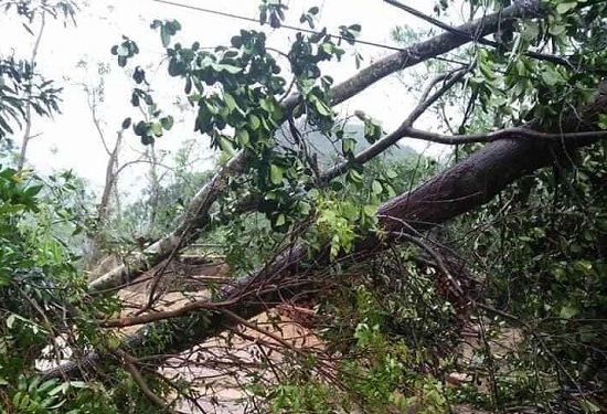 Một người tử vong, hàng ngàn ngôi nhà ở miền núi phía Bắc bị tàn phá vì mưa lớn